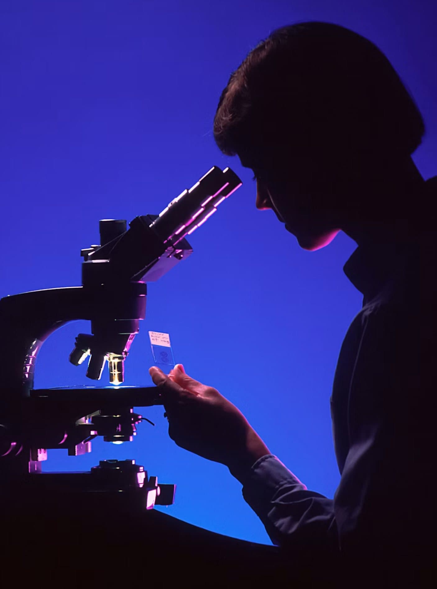 Silhouette of a scientist working at a microscope under blue and magenta light